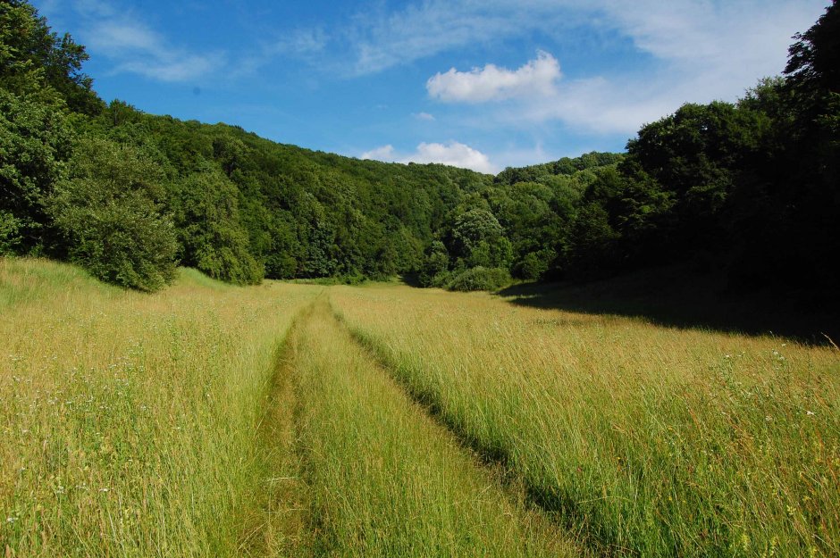  6mb img 05 zapodialunga