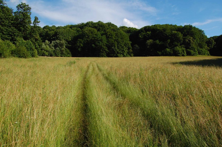  6mb img 05 zapodialunga 2 0