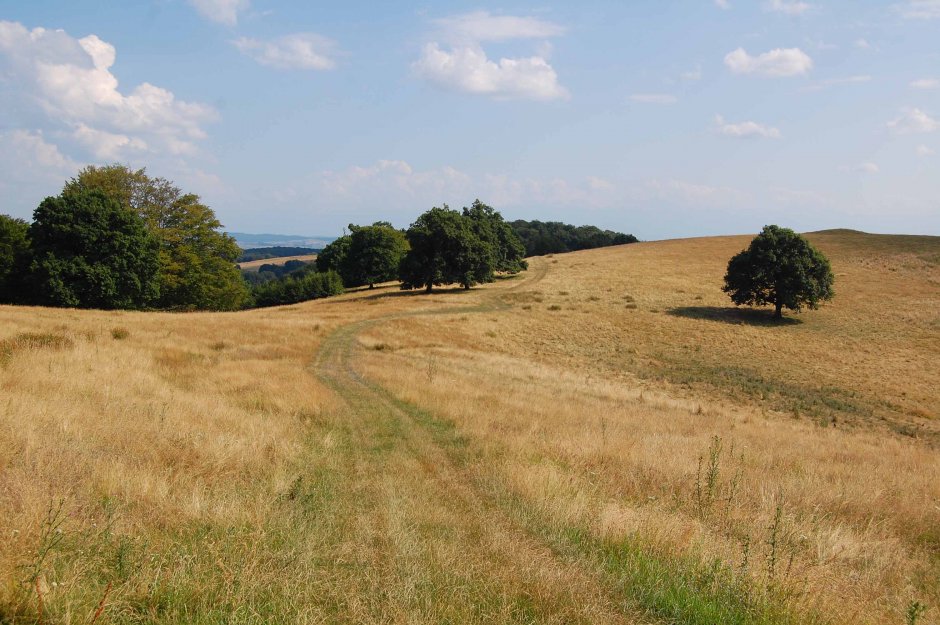  6mb img 06 coborare spre stejarisu 0