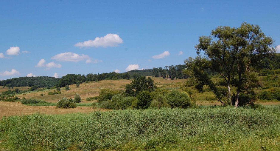  6mb img 06 trocila 0