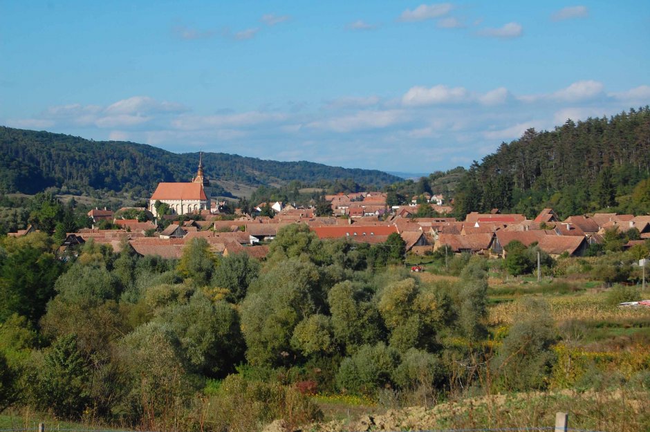  6mb img 11 saschiz 0