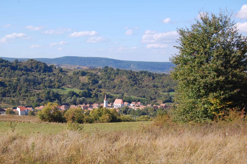  6mb img 14 cloasterf 0