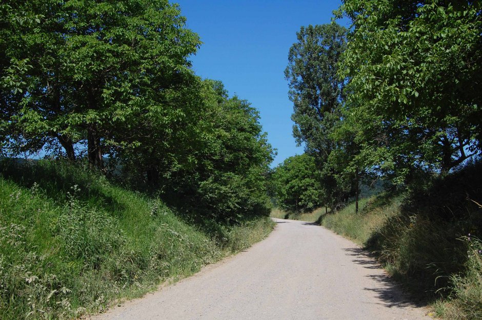  6mb img 16 dc56 apold-daia 0