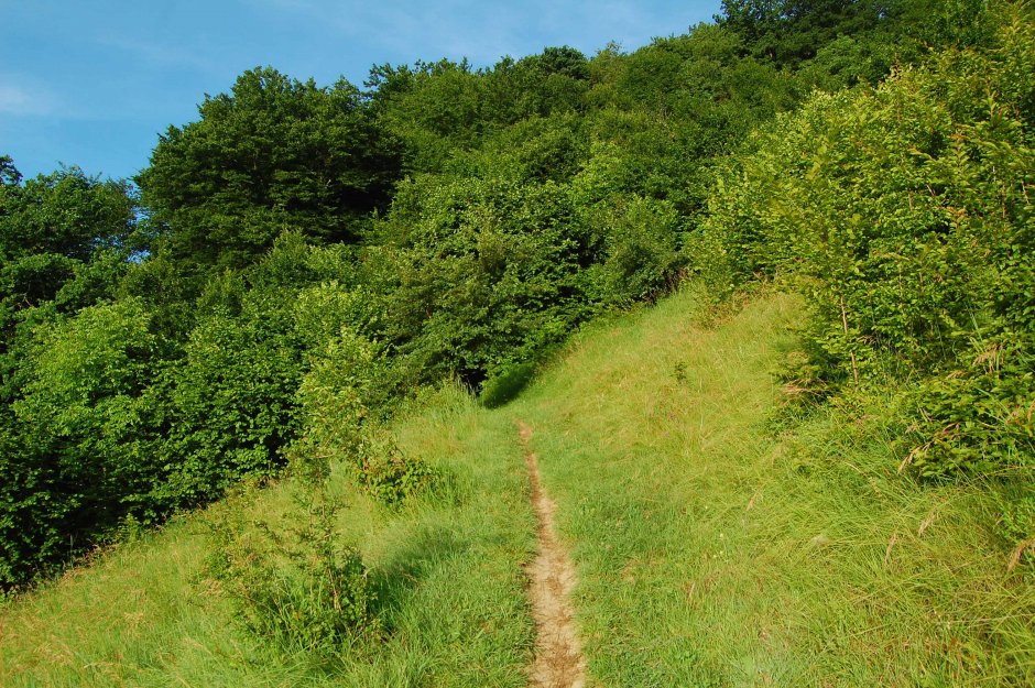  6mb img 16 urcare spre breite 0