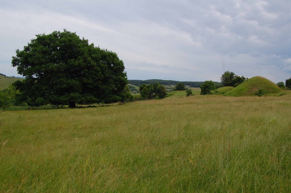  6mb img 17 copac secular si glimee 0