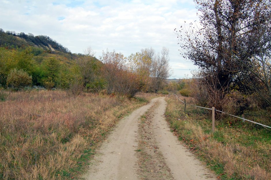  6mb img 19 pe drumul de-a lungul paraului visa 0