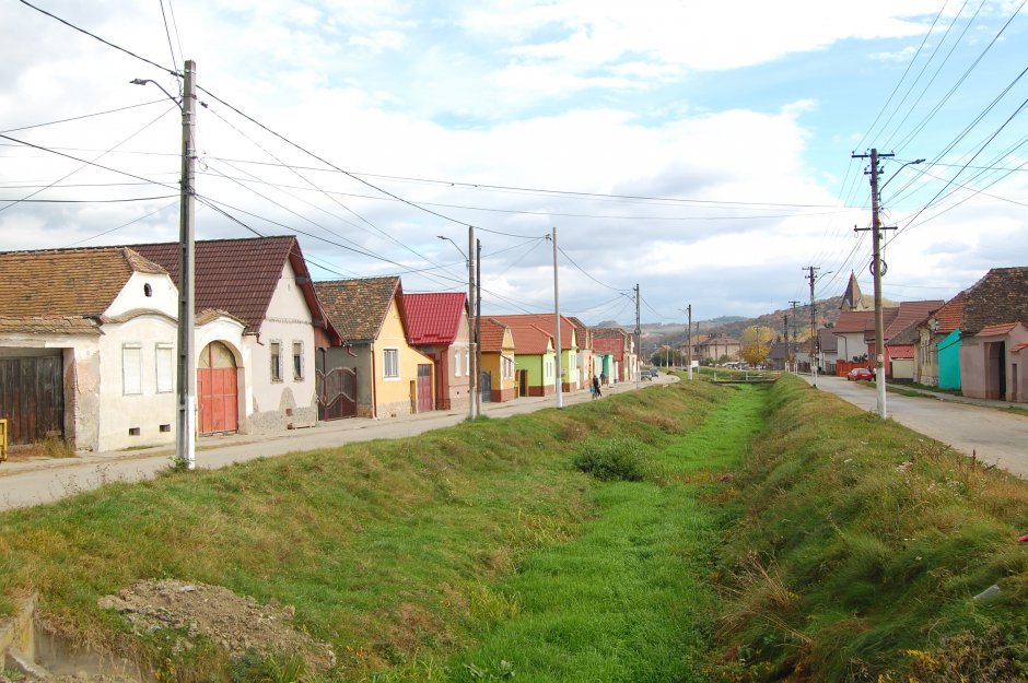  6mb img 19 tarnava 0