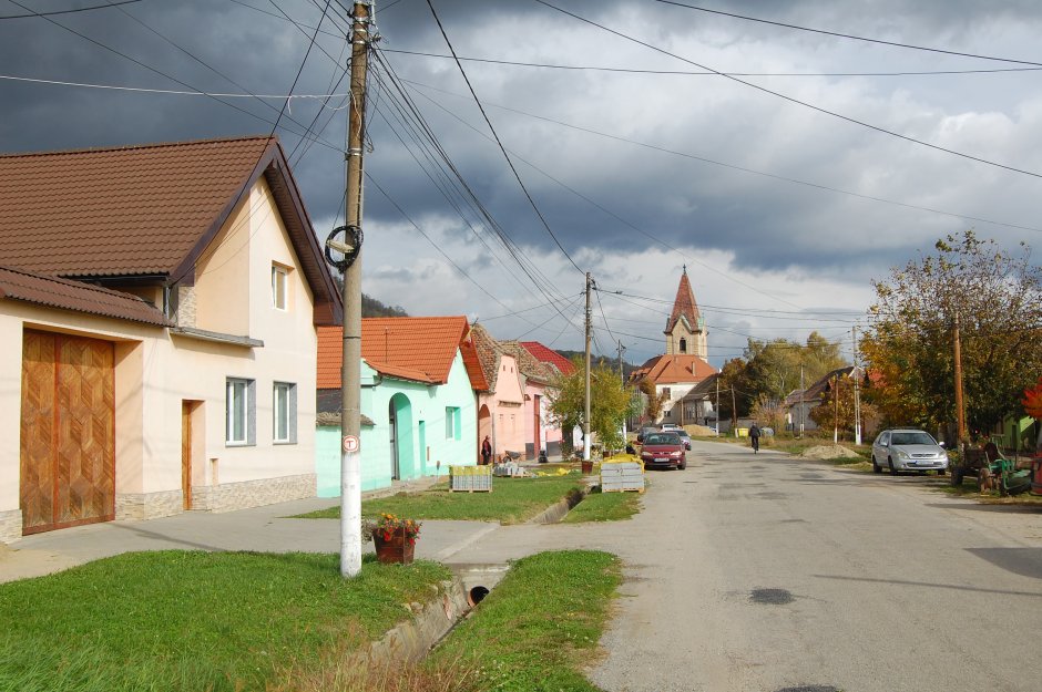  6mb img 19 tarnava 2 2