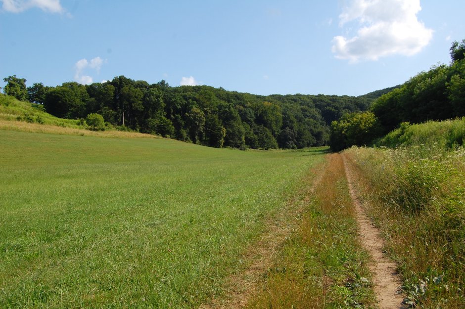  6mb img 22 urcarea pe zadpodie spre deal langa biertan 0