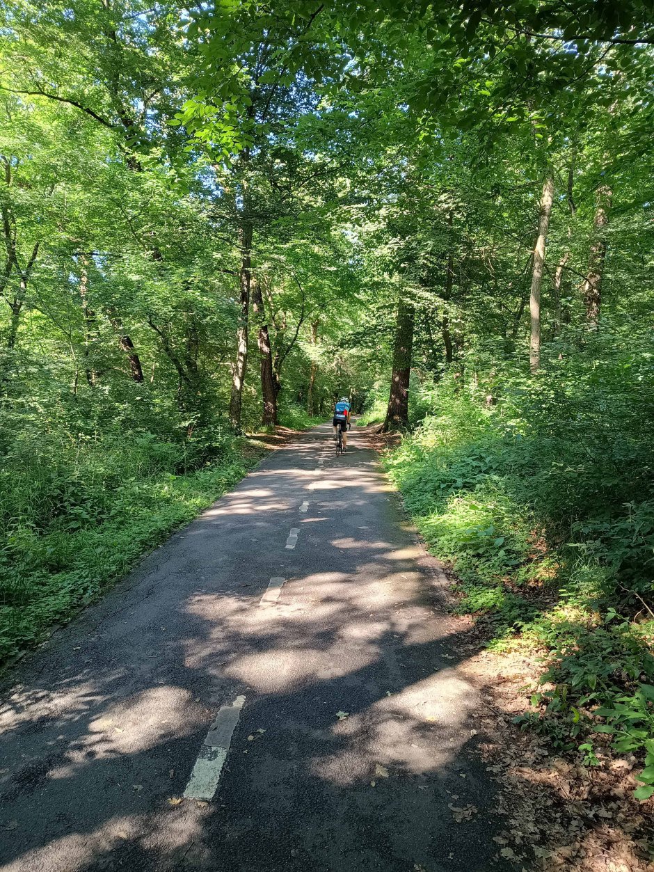  6mb img 33 spre sibiu 0