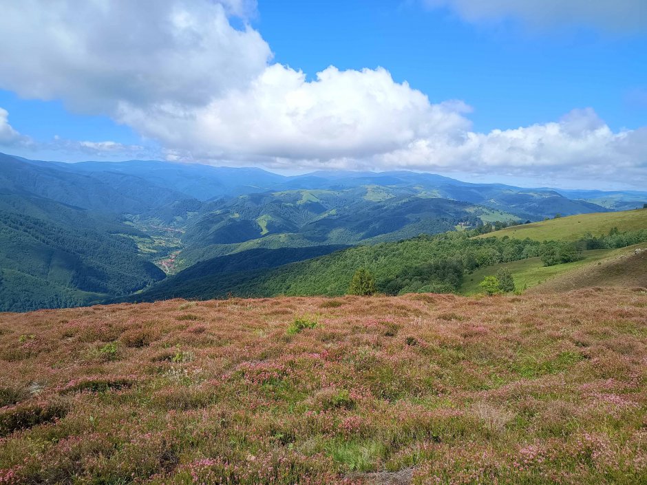  6mb img 33 valea sadului vazuta din creasta 0