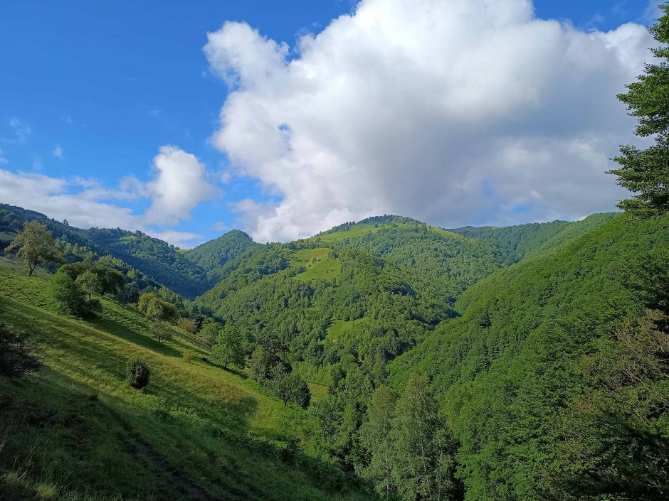  6mb img 33 vedere din culmea schian spre vest 0