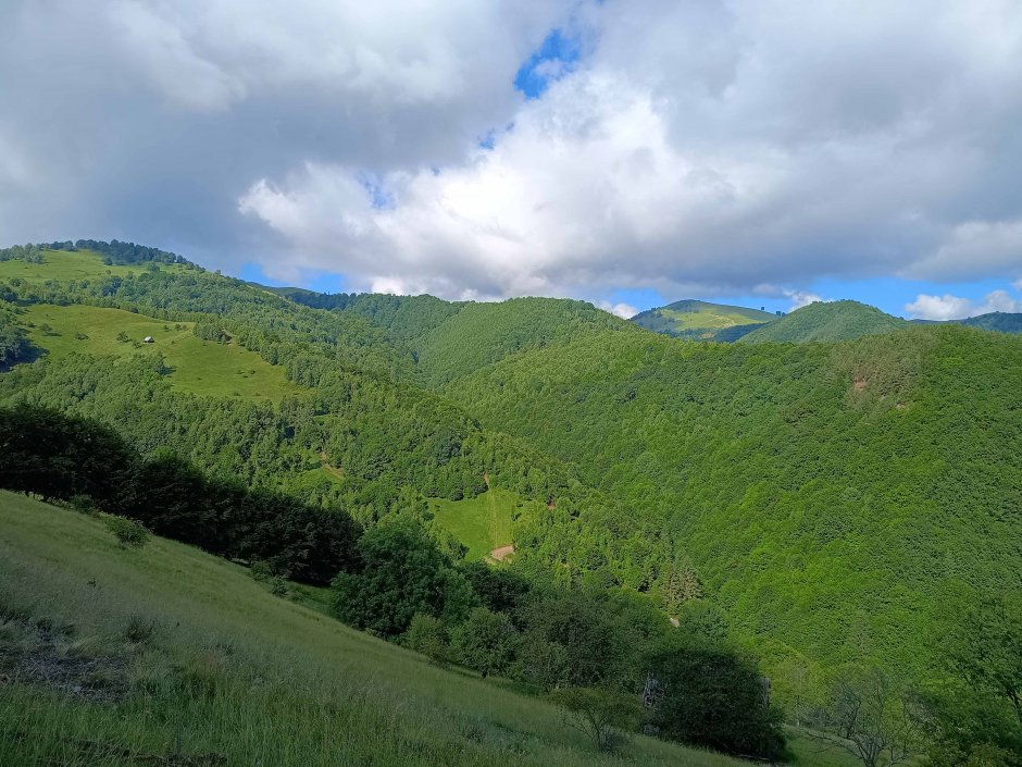  6mb img 33 vedere din culmea schian spre vest 2 1