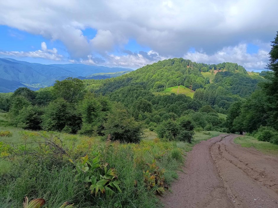  6mb img 33 vedere din vf