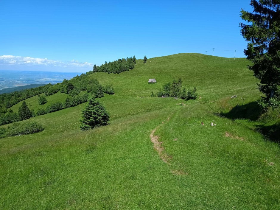  6mb img 35 culmea blidariei