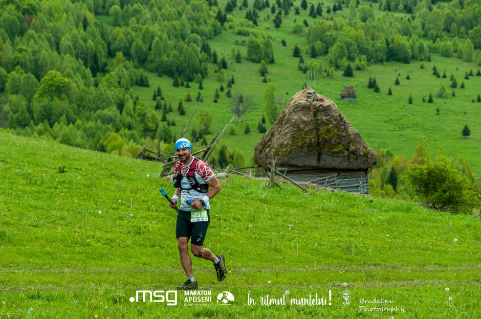 colibele zapodie msg maratonapuseni