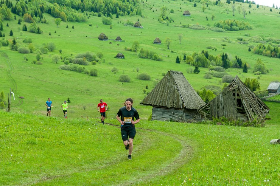 colibele zapodie msg maratonapuseni 2 0