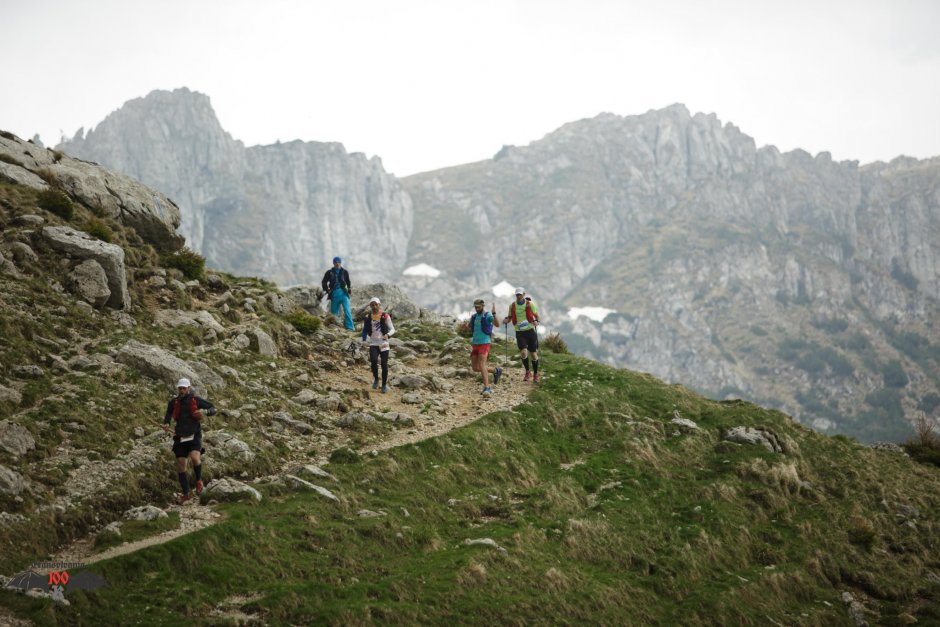 grohotis - saua strunga