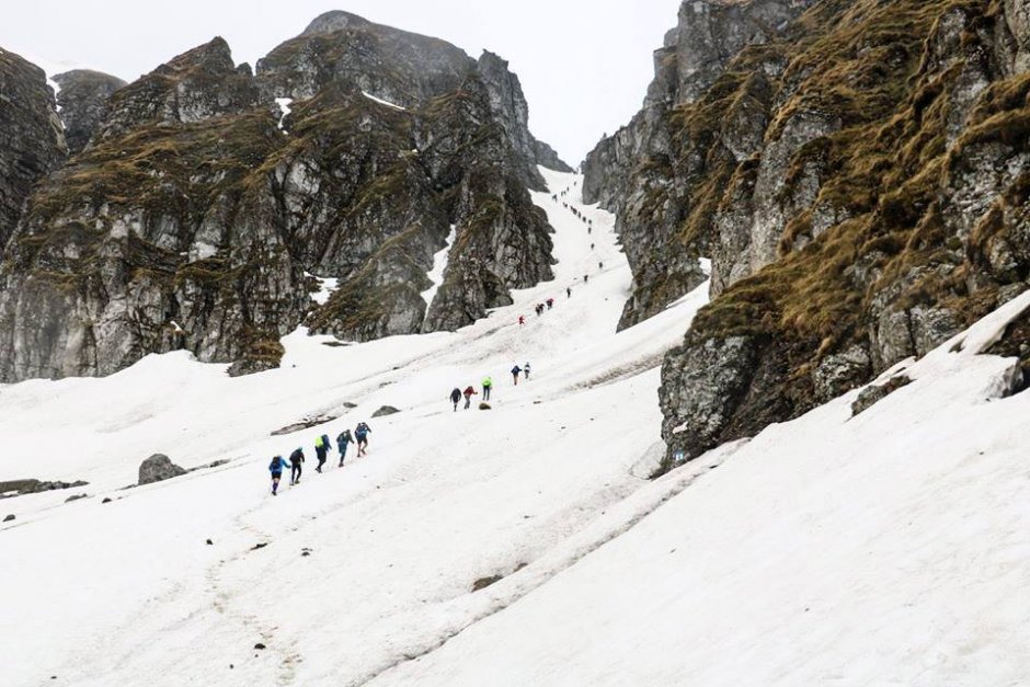 hornurile malaiesti 0