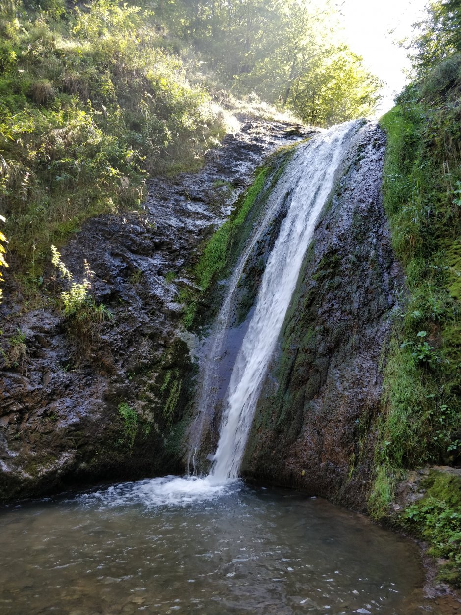 img 20200822 104420 5