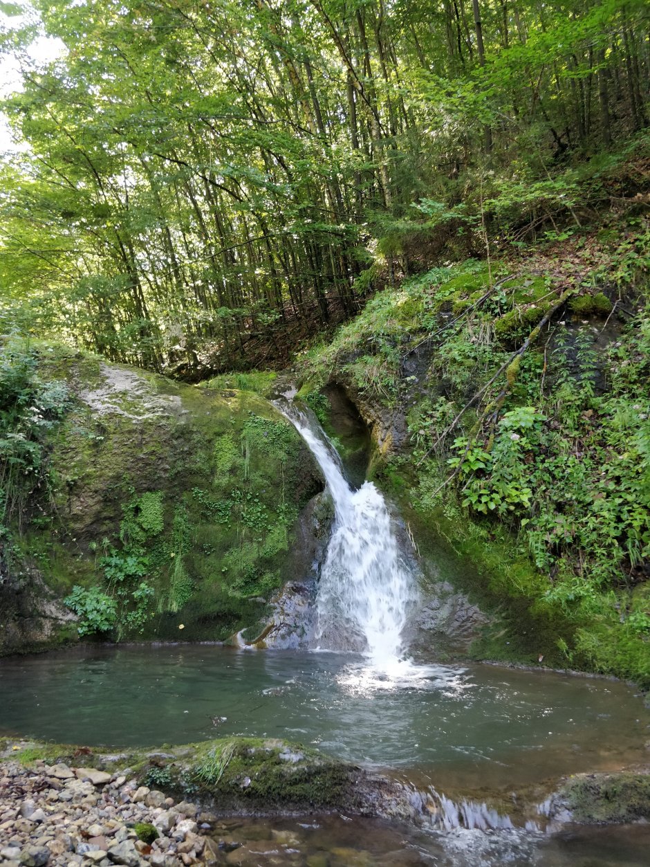 img 20200822 111817 0