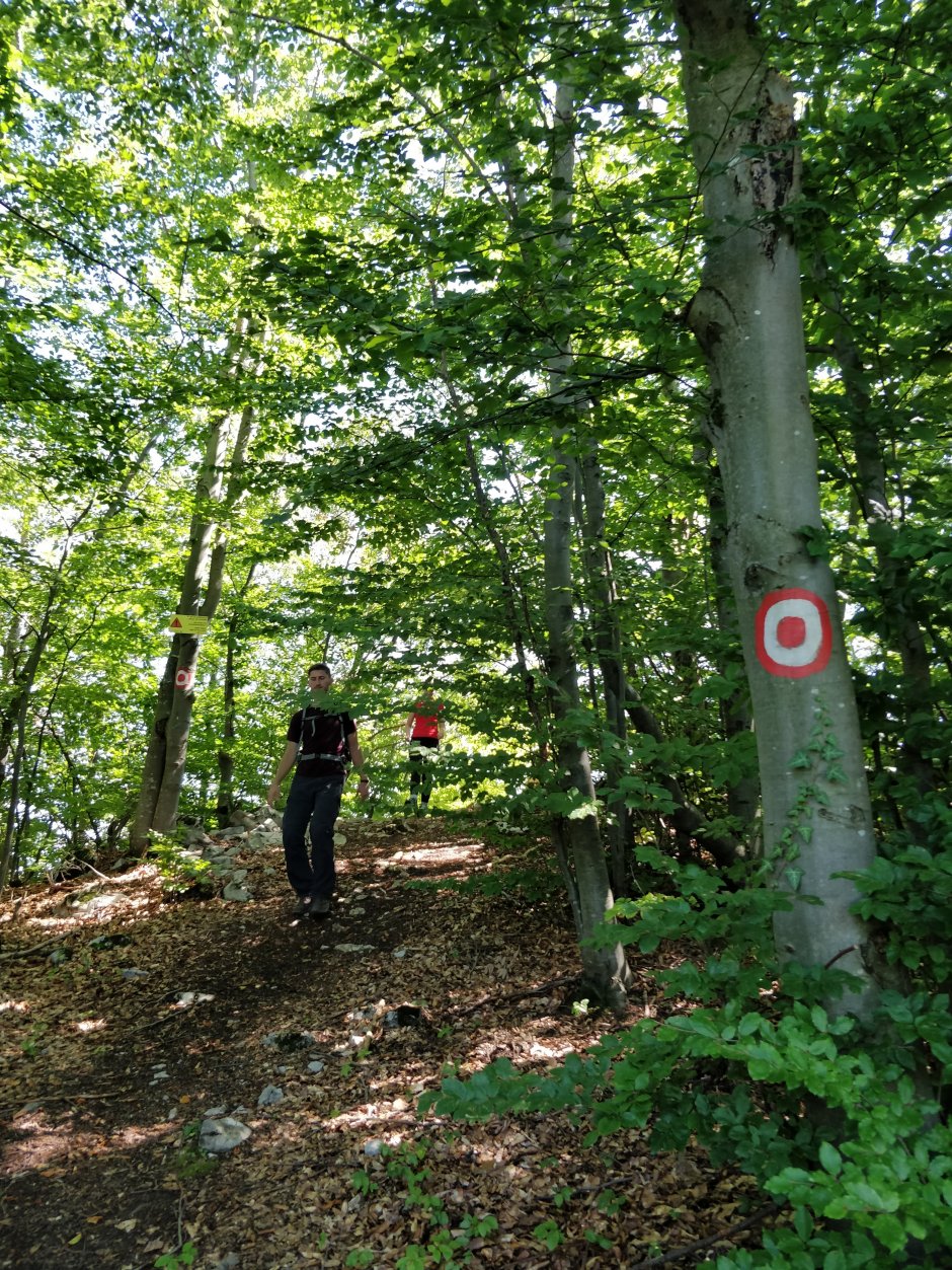 img 20200822 135546 0