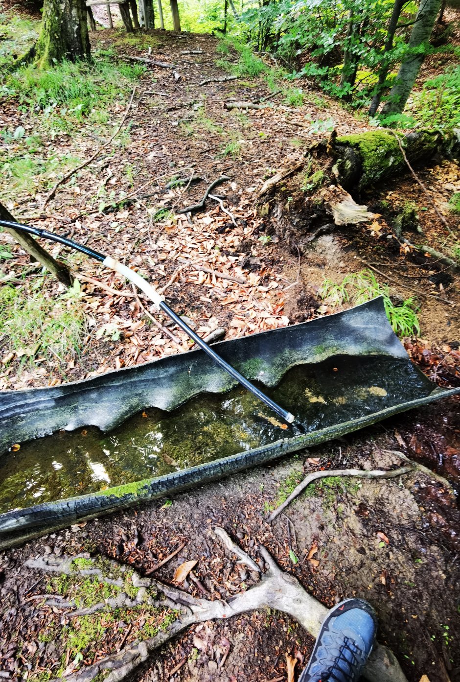 img 20220705 1014181