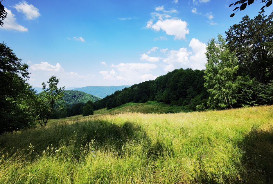 img 20220705 1154361