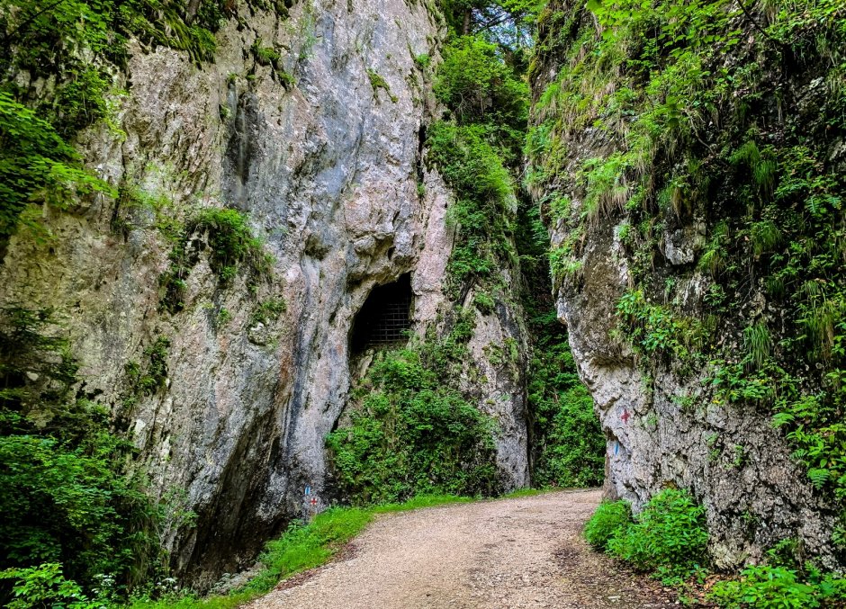 piatra-craiului-zarnesti-01