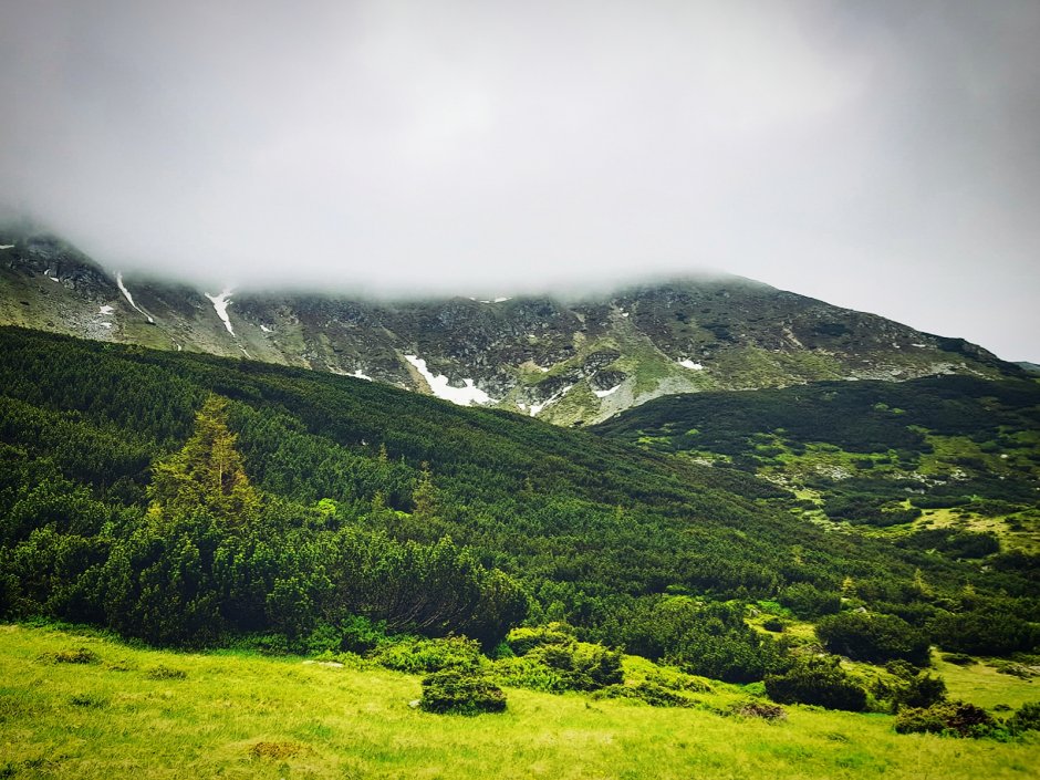 piciorul galatului 0