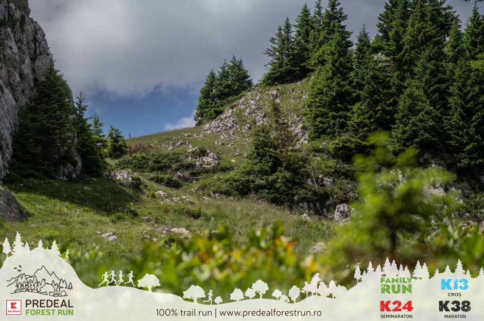 resize predeal 124 1