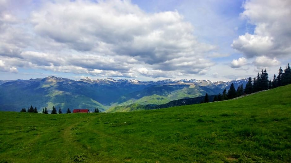 stana saca -la saivan - greab marius