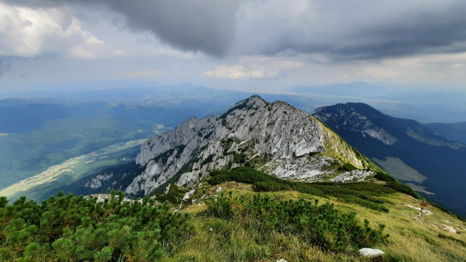 whatsapp image 2021-09-21 at 13