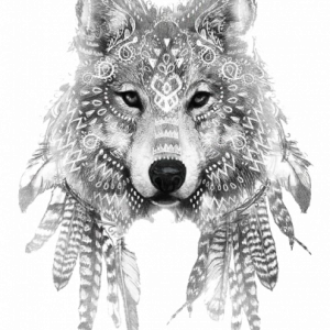 imaginea utilizatorului Mizantropescu