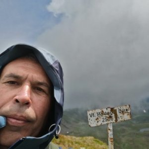 imaginea utilizatorului Varzile