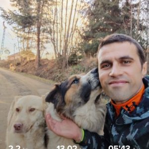 imaginea utilizatorului dorupralia