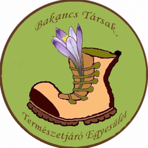 imaginea utilizatorului szkita88