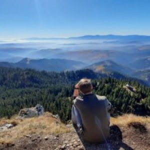 TeodorHaiduc's picture