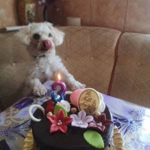 Cristiannica's picture