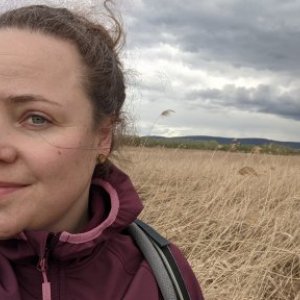 imaginea utilizatorului Bek