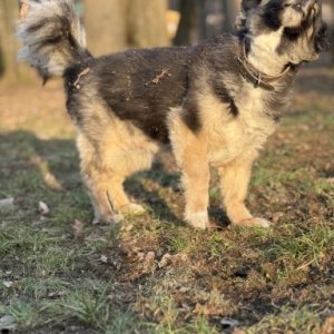 imaginea utilizatorului rita.asw