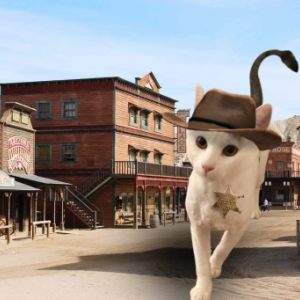 imaginea utilizatorului Aristocrat Cat