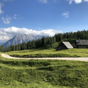 imaginea utilizatorului arminthehiker