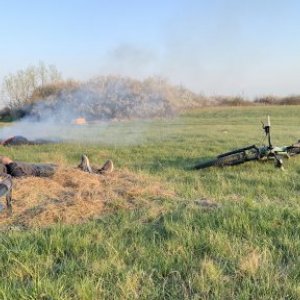 Leretter Marius's picture