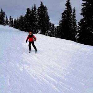 imaginea utilizatorului stefanparasca