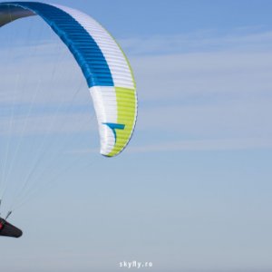 imaginea utilizatorului Gigi Sunt