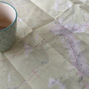 AleMissy07's picture