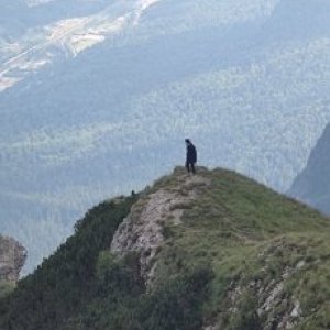 imaginea utilizatorului Raulika19