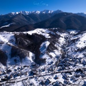 imaginea utilizatorului DanDanu