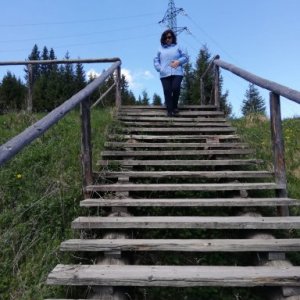 imaginea utilizatorului Simion Doina